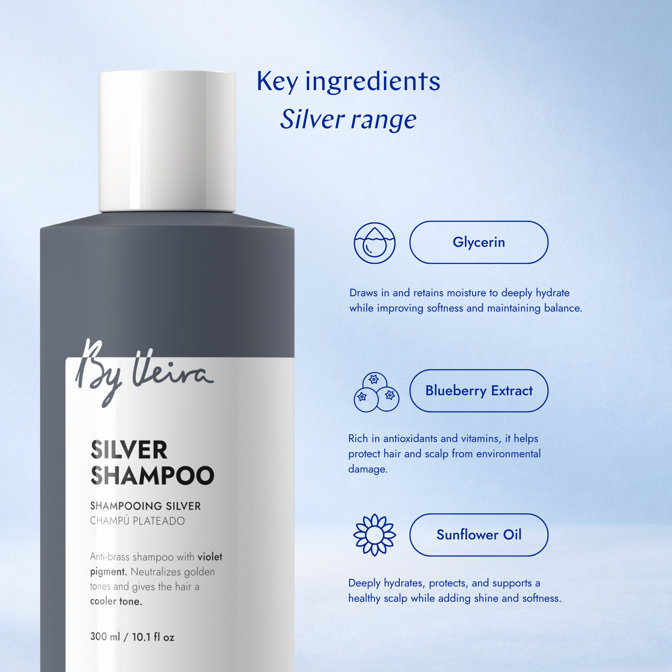 Silver Conditioner 100 ML